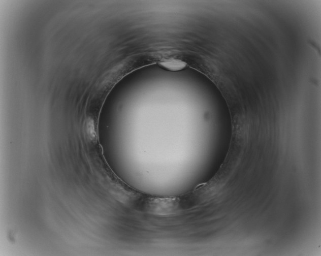 X0000100350089200806061124