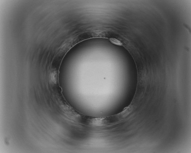 X0000100350090200806061124