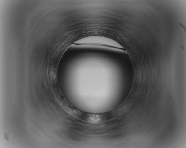 X0000100350091200806061124