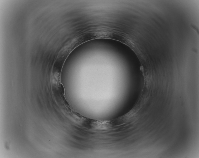 X0000100350093200806061124