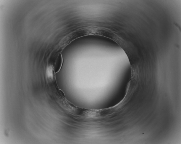 X0000100350094200806061124