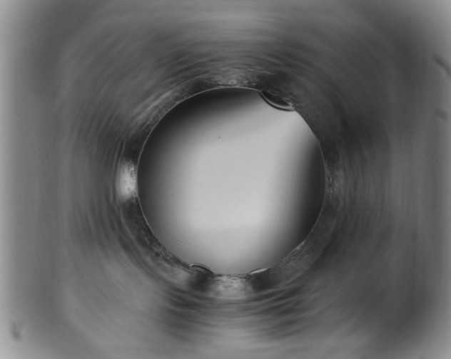 X0000100350095200806061124