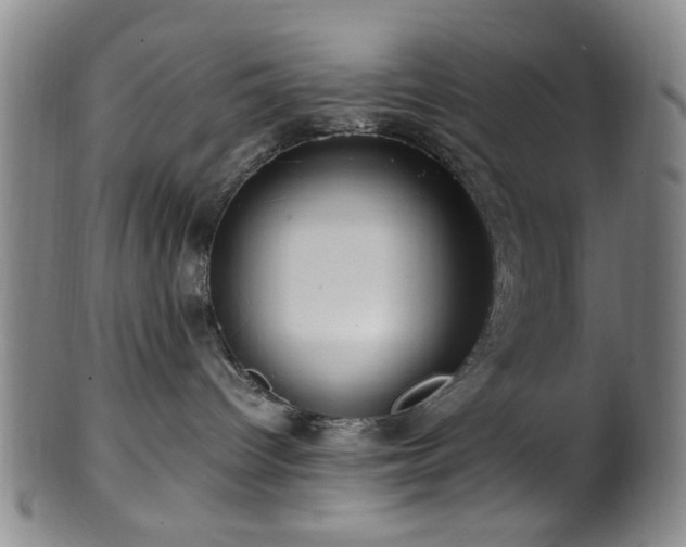 X0000100350096200806061124