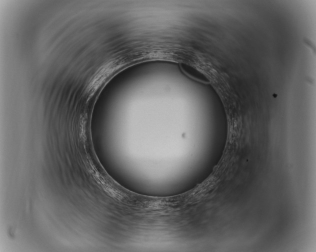 X0000100350098200806061123