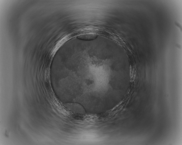 X0000100350099200806061123