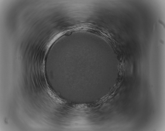 X0000100350100200806061123