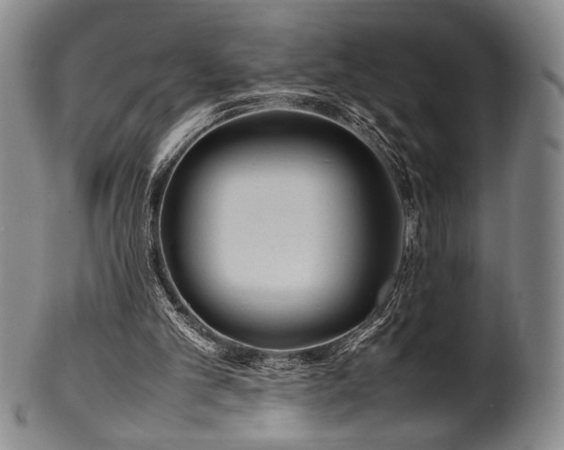 X0000100350101200806061123