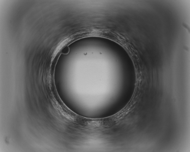 X0000100350102200806061123