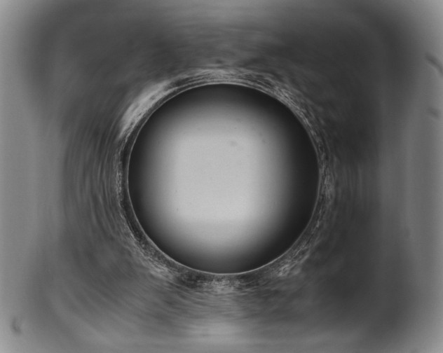 X0000100350103200806061123