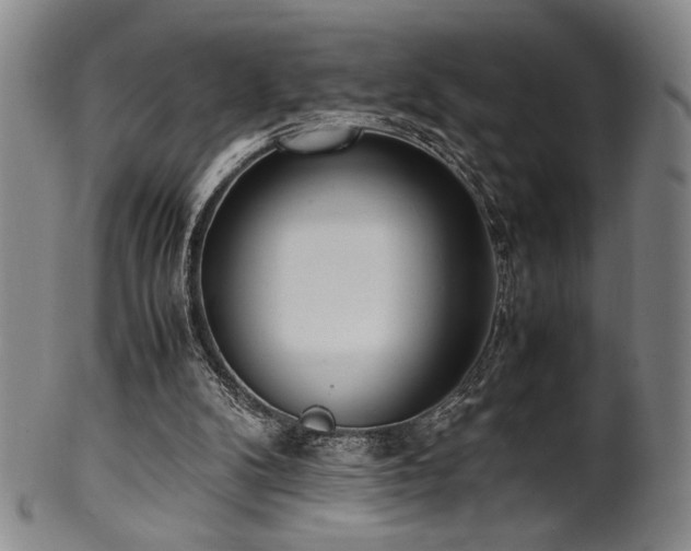 X0000100350104200806061123