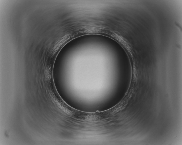 X0000100350105200806061123