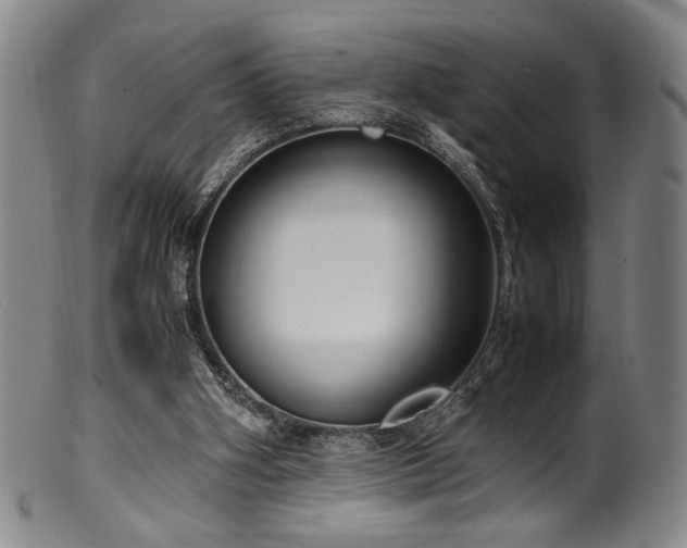X0000100350106200806061123