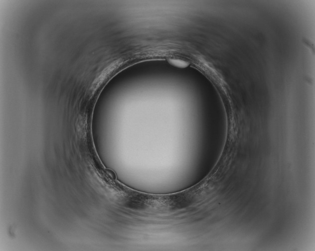 X0000100350107200806061123