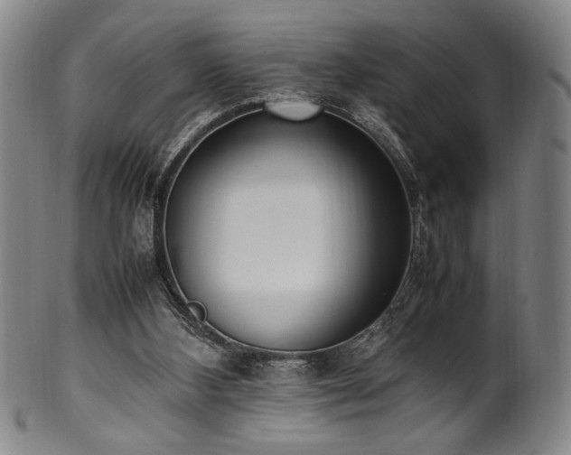 X0000100350108200806061123