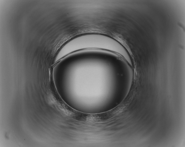 X0000100350109200806061123