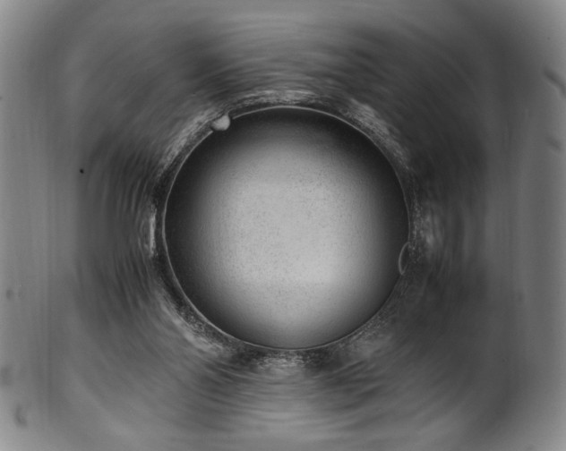 X0000100350110200806061123