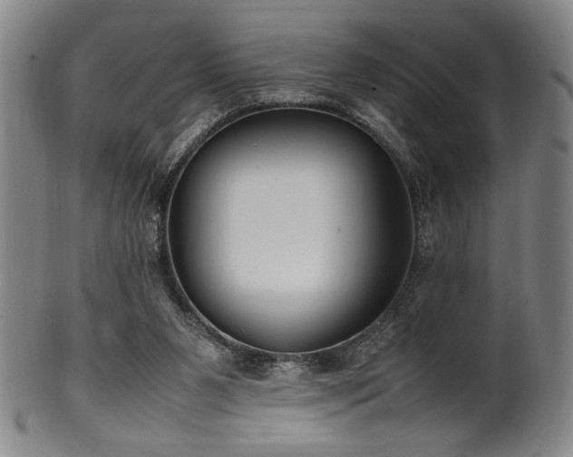X0000100350111200806061123