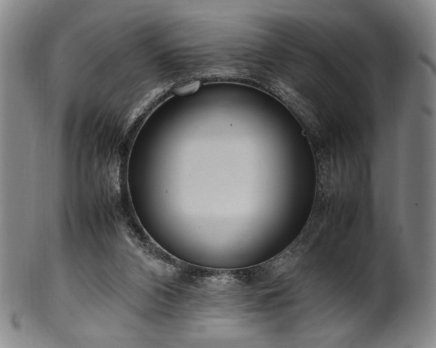 X0000100350112200806061123
