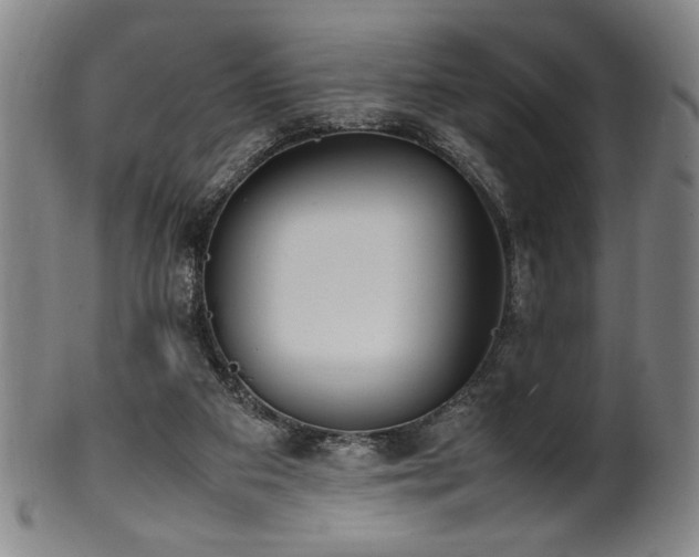 X0000100350113200806061123