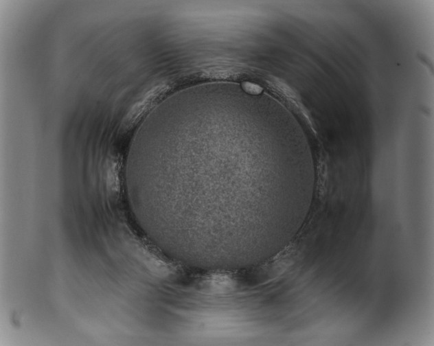 X0000100350114200806061123