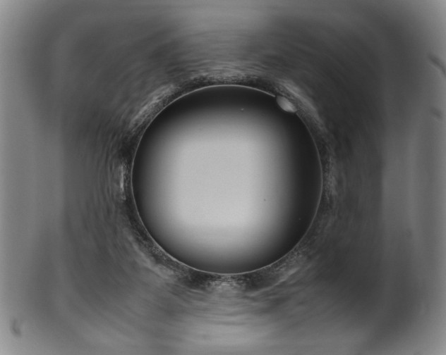 X0000100350115200806061123
