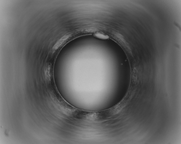 X0000100350116200806061123