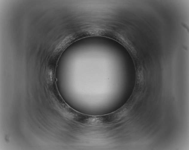X0000100350117200806061123