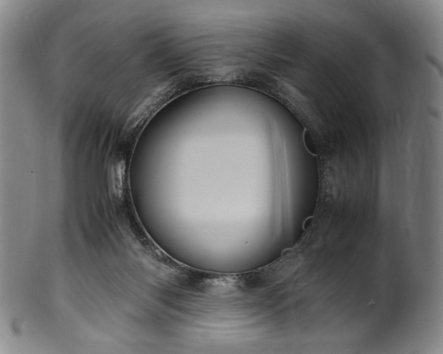 X0000100350118200806061123