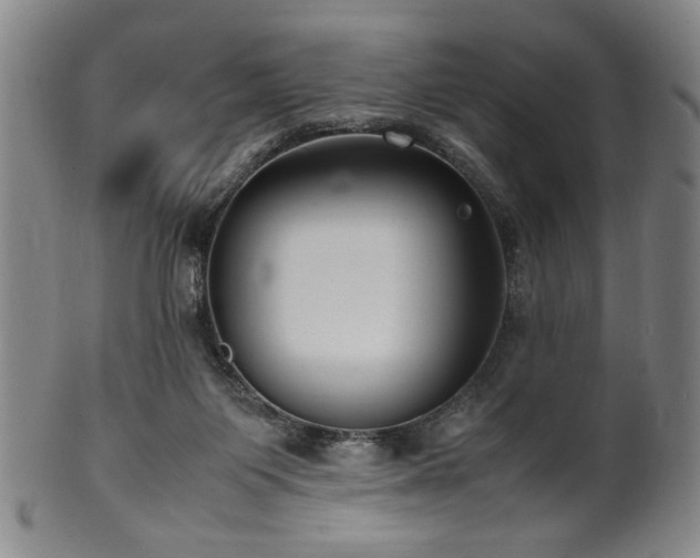 X0000100350119200806061123