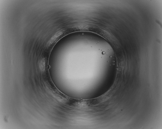 X0000100350120200806061123