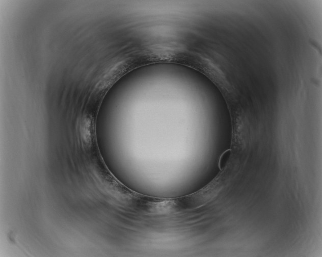X0000100350122200806061123