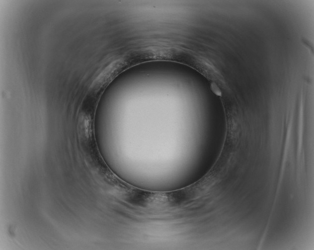 X0000100350123200806061123