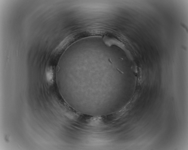 X0000100350124200806061123