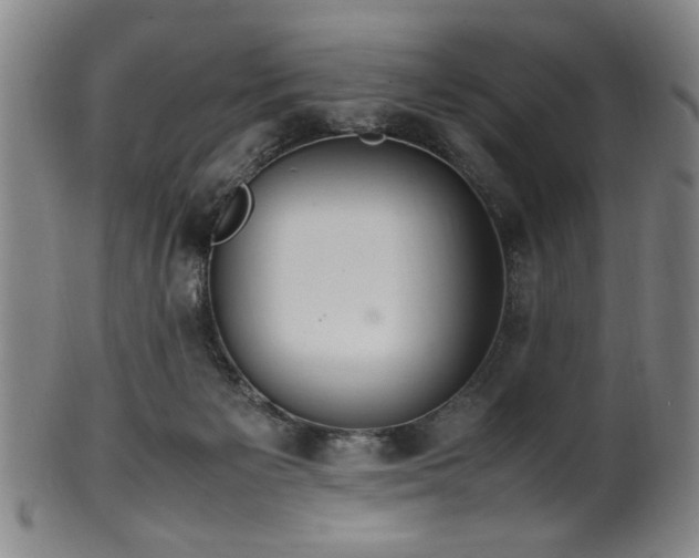 X0000100350125200806061123