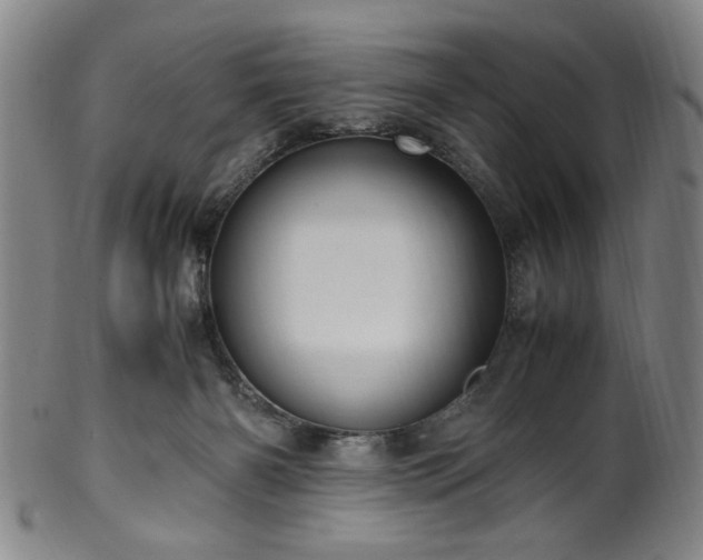 X0000100350126200806061123