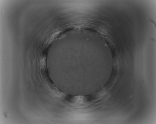 X0000100350127200806061123