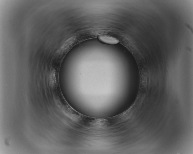 X0000100350128200806061123