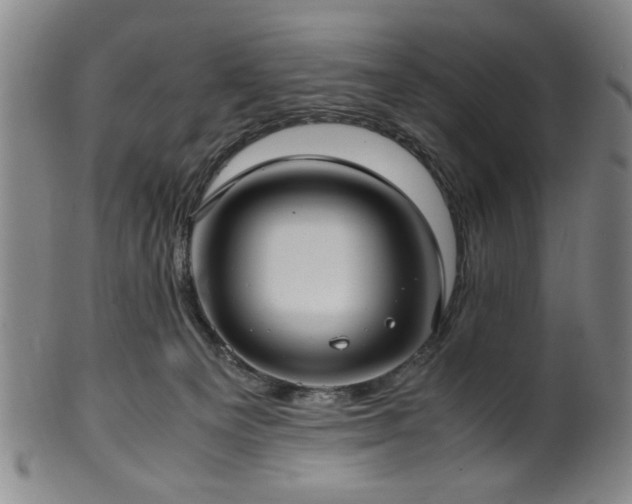 X0000100350129200806061123