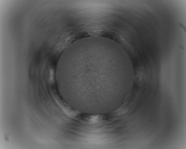 X0000100350130200806061123