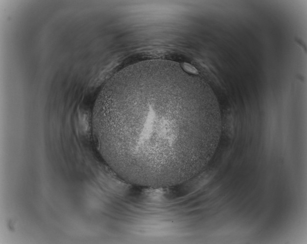 X0000100350131200806061123