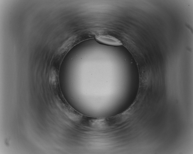 X0000100350132200806061123