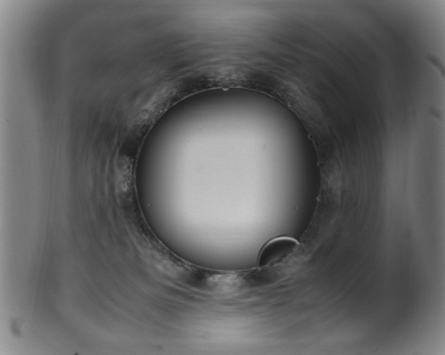 X0000100350133200806061123