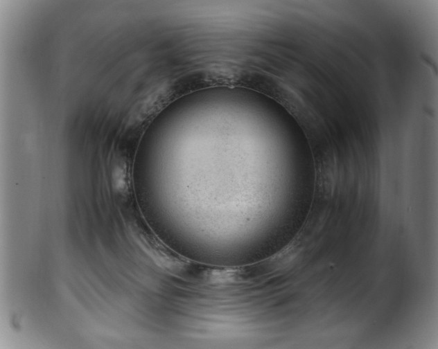 X0000100350134200806061123