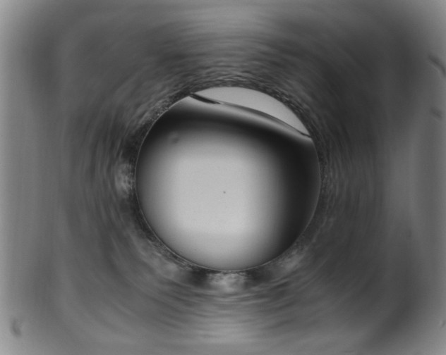 X0000100350135200806061123