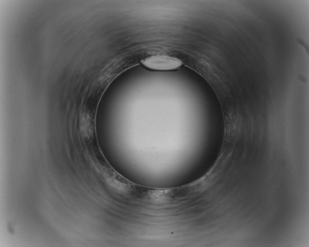 X0000100350136200806061123