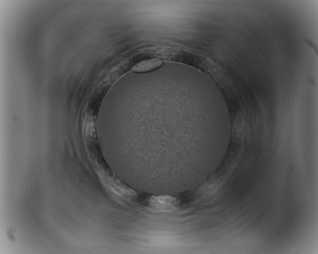 X0000100350137200806061123