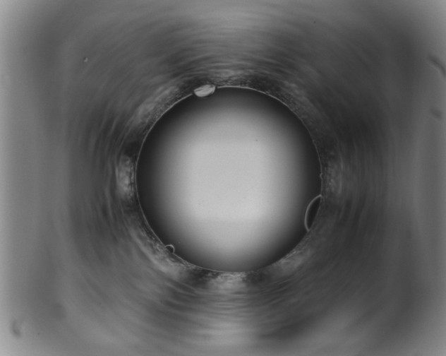 X0000100350138200806061123