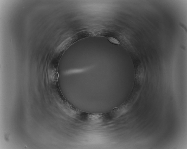 X0000100350139200806061123