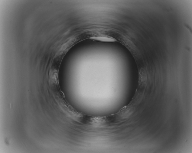 X0000100350141200806061123