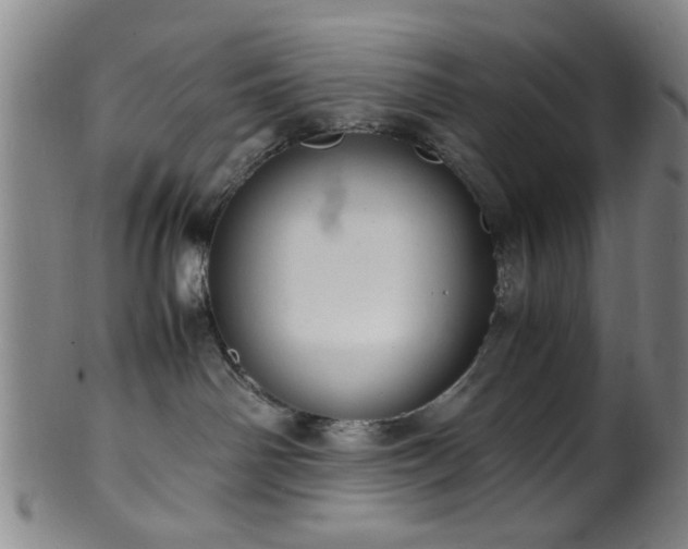 X0000100350142200806061123